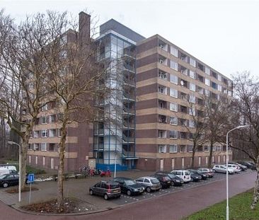 Fluitekruidweg 0ong, 1508 Zaandam, Nederland - Photo 1