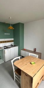 Location Appartement 1 pièce 21m² CHOLET 49300 - Photo 3