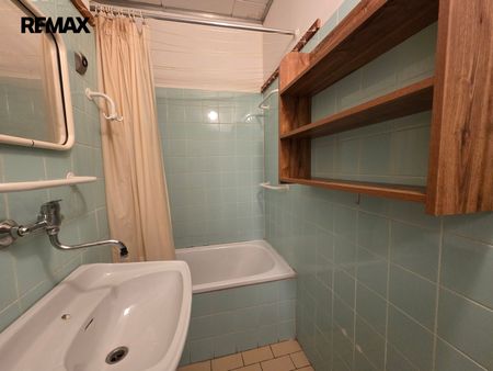 Pronájem bytu 1+1 v osobním vlastnictví 40 m², Opočno - Fotografie 4