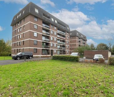 Ruim appartement met 3 slaapkamers nabij centrum Oudenaarde - Foto 2