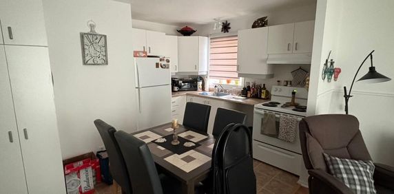 Logement 3 1/2 à louer à Terrebonne - Photo 2