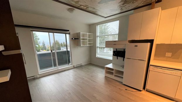 Bachelor Suite For Rent In Surrey/ Pets Allowed. - Photo 1