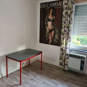 Wagenmakerstraat 6, kamer 4 - Foto 2