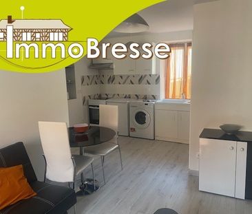 Location Appartement 2 pièces 28m² VONNAS 01540 - Photo 5