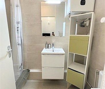 Location Appartement 1 pièce 18m² NICE 06300 - Photo 6