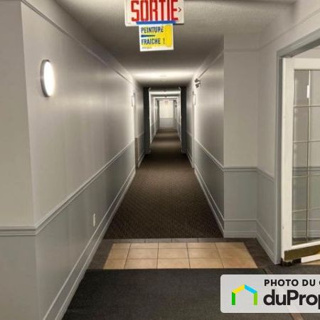 204-505 boulevard de la Gappe, Gatineau (Gatineau) à louer - Photo 1