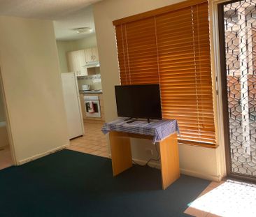 1/33 Moate Street, Georgetown NSW 2298 - Photo 3