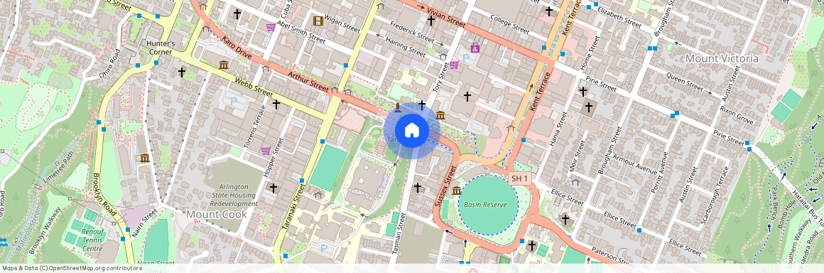 13 Buckle Street, Mount Cook, Wellington City