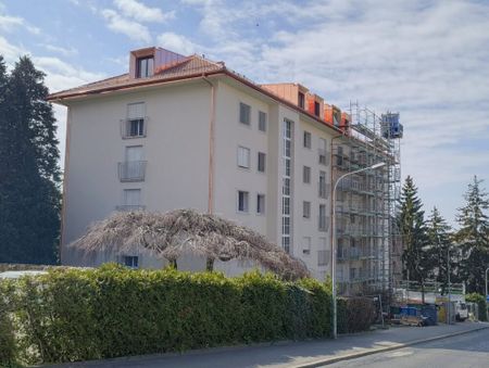 Bel appartement de 3 pièces proche du centre-ville - Photo 2