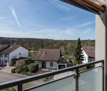 Dream home on the Reuss River - Foto 4