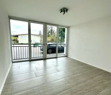 2.5 Zimmer, 65 m², 2. Stock - Photo 1