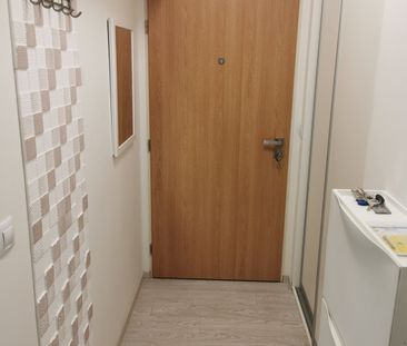 Pronájem bytu 1+kk a garsoniéry 24 m², Nad Přehradou, Brno Bystrc - Photo 6