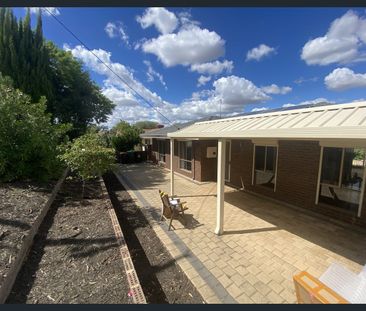 WELL PRESENTED THREE BEDROOM ONE BATH HOME - LARGE BACK YARD - Photo 6