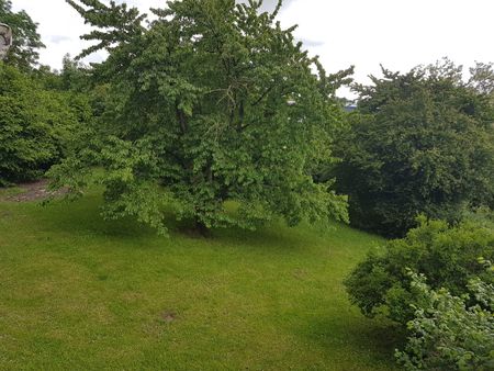 Location Appartement 2 pièces 35m² LOUVROIL 59720 - Photo 5