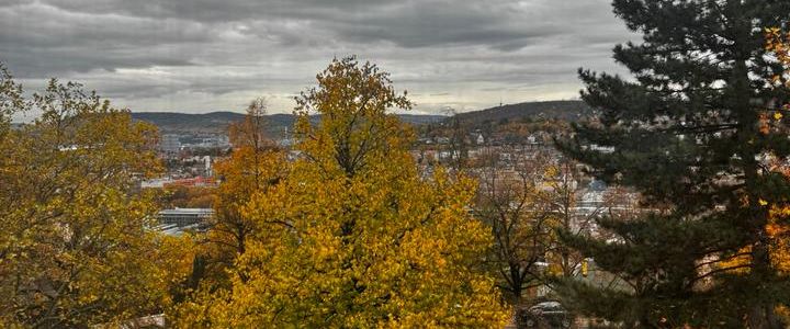 Helle, großzügige Wohnung mit Ausblick am Stuttgarter Killesberg - Photo 1