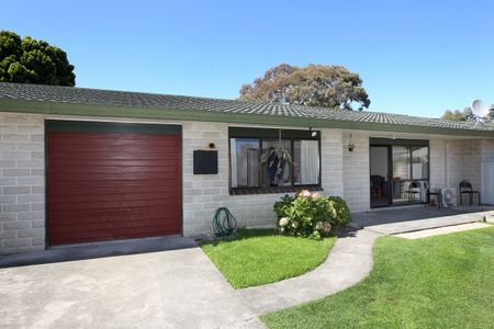 Spacious and Modern Parkvale Unit - Photo 2