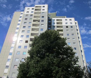 Alles neu !! 2 Zimmer-Wohnung mit viel Stellplatz, separater Küche ... - Photo 1