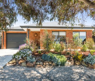 3 bedroom home in perfect Flora Hill position that offers a lot more - Photo 5