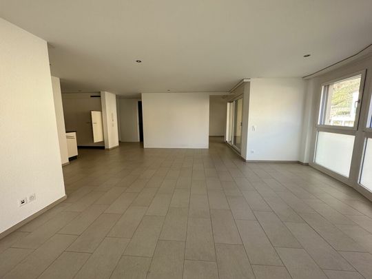 Erzenbergstrasse 51, Liestal - Photo 1