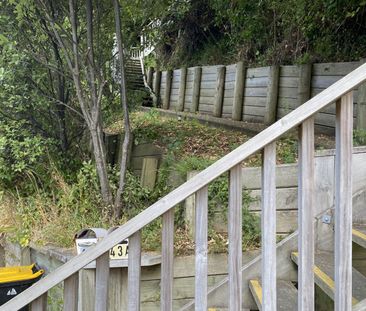 43A Balfour Street, Mornington - Photo 6