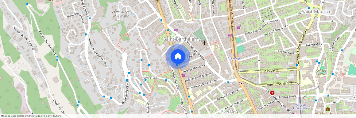 88 Boulevard de Cessole, 06100, Nice
