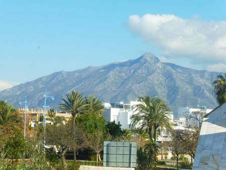 Detached Villa in Marbella - Photo 4