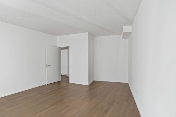 Living at Sihlhof, near the train station - Photo 1