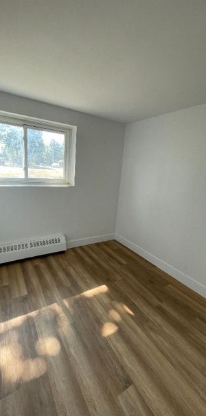 5 1/2 RÉNOVÉ | 1495$/MOIS | LONGUEUIL - Photo 1