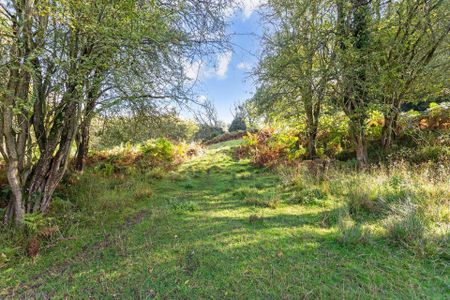 An idyllic newly refurbished three-bedroom cottage located within the Kentchurch Court Estate deer park, one of the oldest in the country, offering the perfect - Photo 3