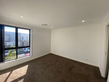 Modern Living with Low Maintenance Yard - Photo 4