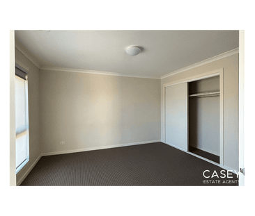 Stylish, Low-Maintenance Living in the Heart of Hampton Park - Photo 3