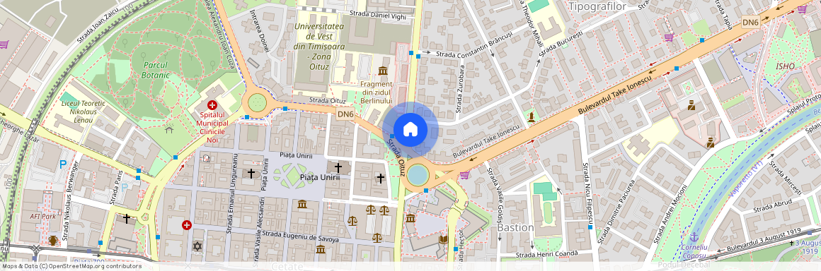 Timis, Timisoara