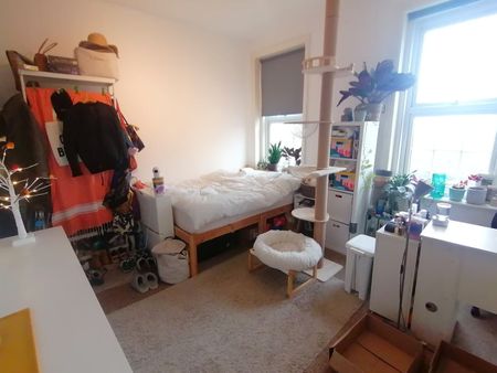 Room in a Shared Flat, Tottenham Lane, N8 - Photo 2