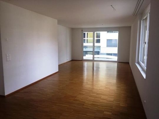 On the edge of the Plessur - Foto 1