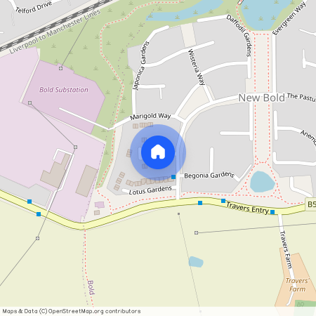 Crocus Gardens, St. Helens, Merseyside, WA9