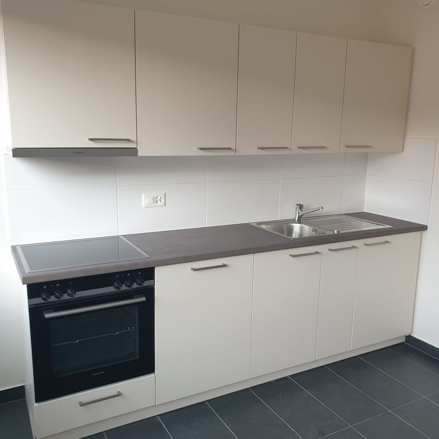 3-bedroom apartment for rent in the Servette district - Photo 1