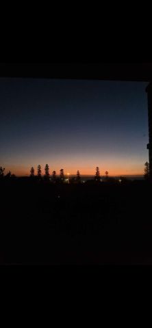 Elwood - Photo 5