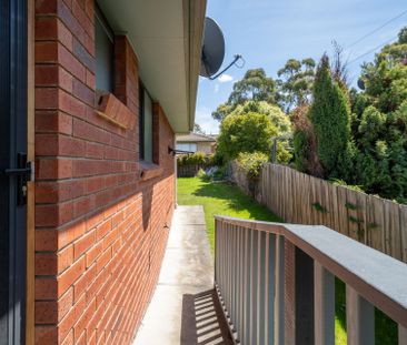 Renovated 2 Bedroom Unit - Photo 5