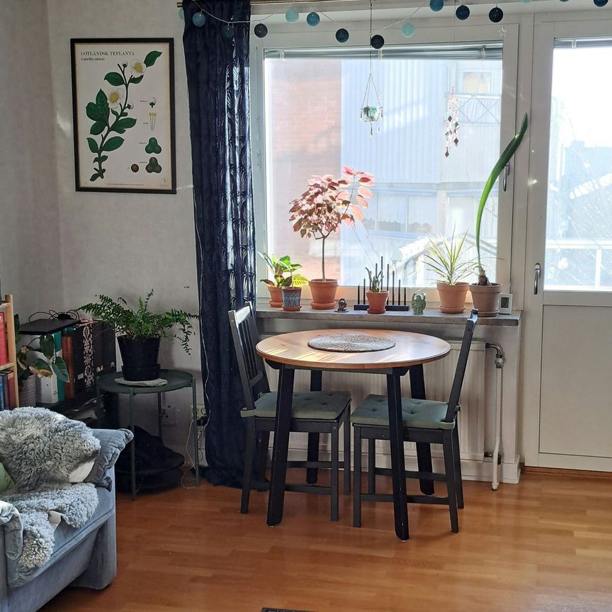 Neptungatan, Visby - Foto 1