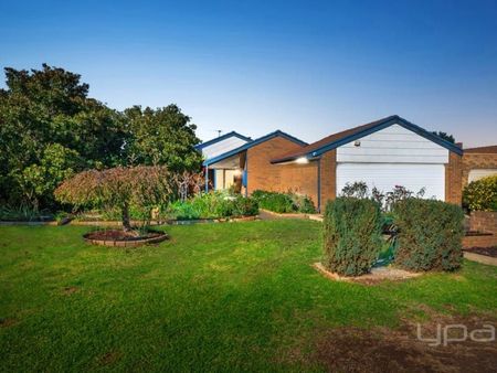 15 Paterson Court, BROOKFIELD - Photo 5