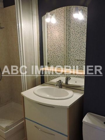 Location Appartement 1 pièce 25m² - Photo 5