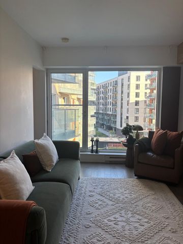 Rue Eleanor, H3C 0T5, Montréal - Photo 4