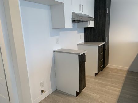 884 rue Hallée, Carré Belvédère, Sherbrooke vacant - Photo 4