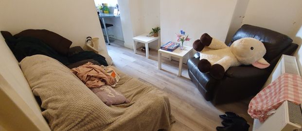 19 Daniel Street, Cathays, Cardiff, CF24 4NX - Photo 1