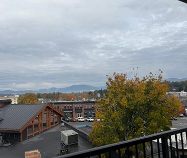 Spacious Condo at Upper Montrose - Photo 3