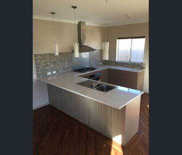 4 x 2 Spacious Home located in the Wandina! - Photo 6