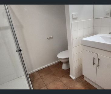 Spacious 1 Bedroom Unit with Carport - Photo 4