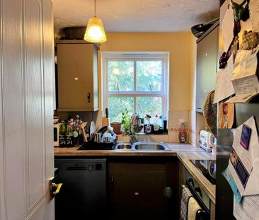 5 bedroom private hall to rent - Photo 6