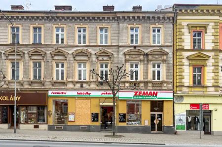 Zcela nově zrekonstruovaný byt 2+1, 73 m - Fotografie 3