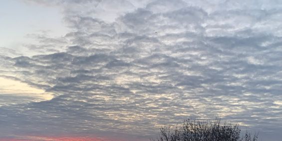 Rönnholmsgränd, Skärholmen - Photo 3